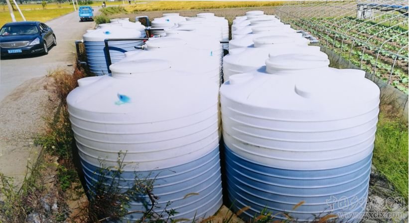 朱玲:關(guān)注農(nóng)村污染治理中的制度、 技術(shù)和財務(wù)需求(圖1)