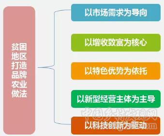 蔣輝:貧困地區(qū)品牌農(nóng)業(yè)與精準(zhǔn)扶貧(圖2) 2.jpg