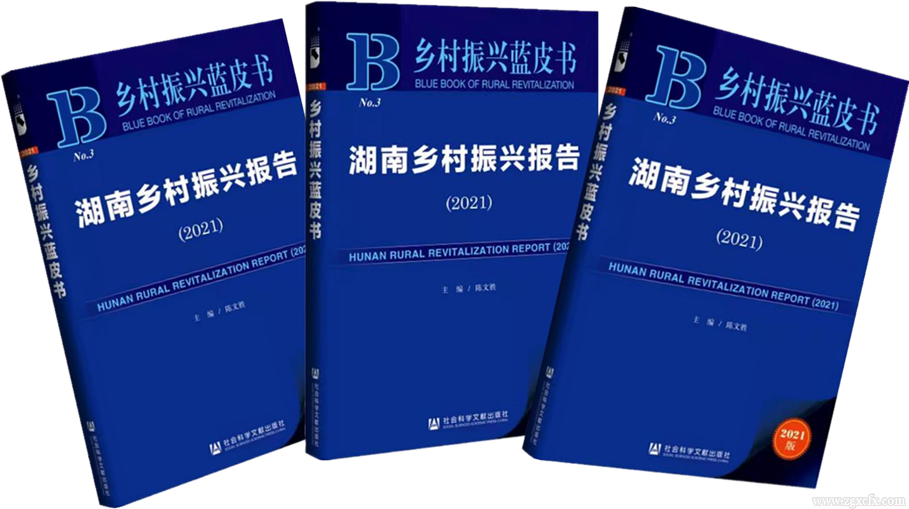 書(shū)訊 | 陳文勝主編《湖南鄉(xiāng)村振興報(bào)告（2021）》出版(圖3)